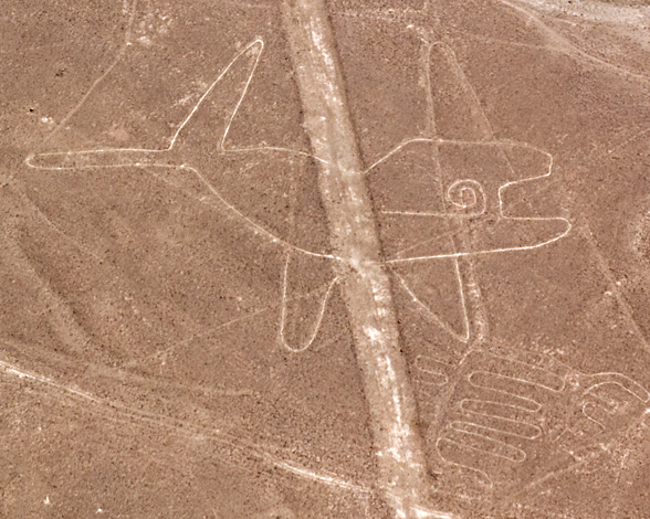 Ballena nazca