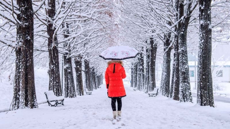 Guía Definitiva para Sobrevivir y Disfrutar el Invierno: Tips y Trucos Festivos